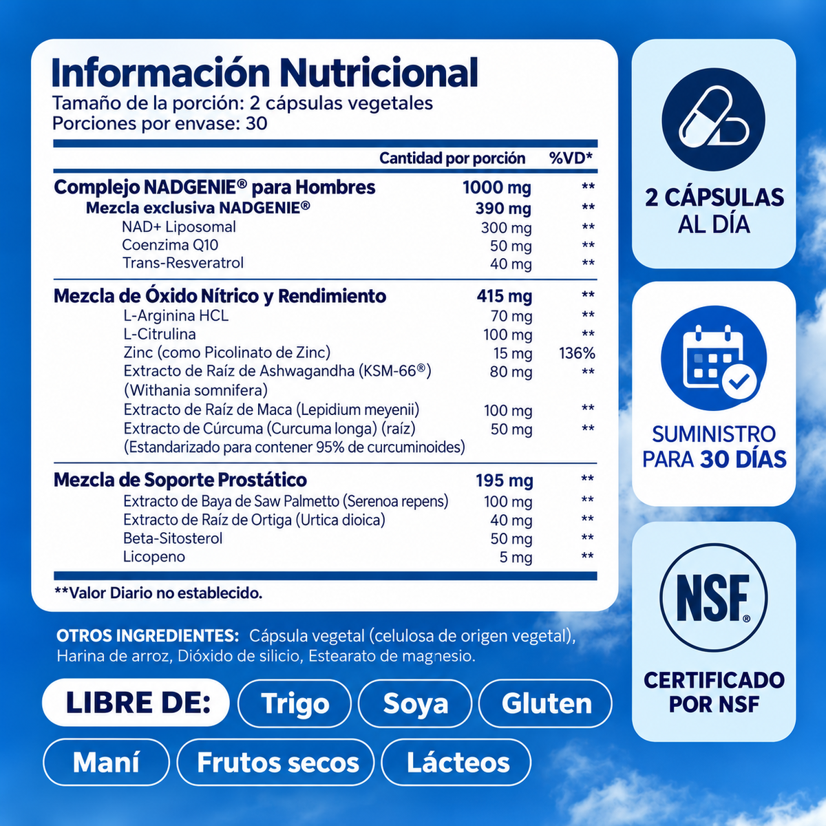 Selerb NAD+ – Mejora flujo y aumenta la energía