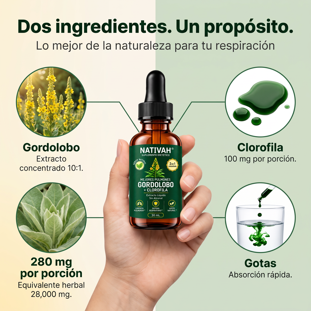 Dos ingredientes, un propósito