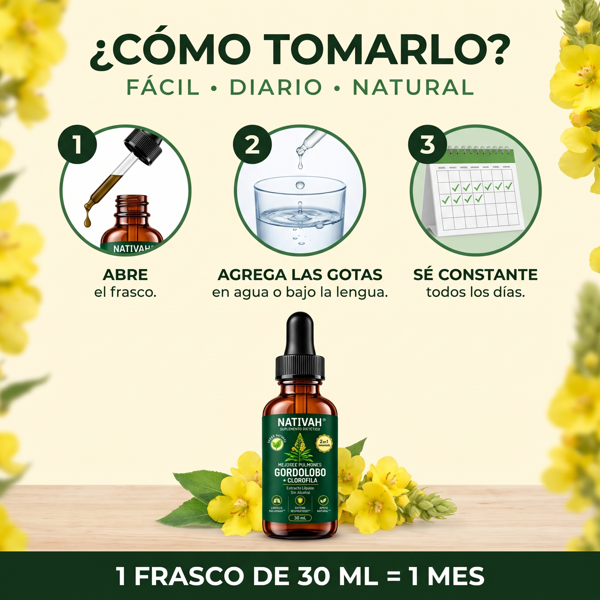 Cómo tomar las gotas de gordolobo